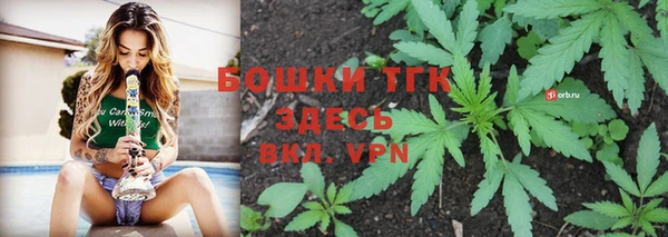 дживик Абаза