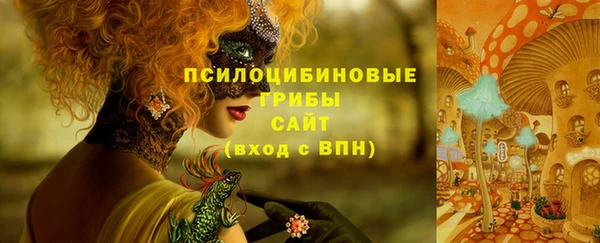 крисы Абинск