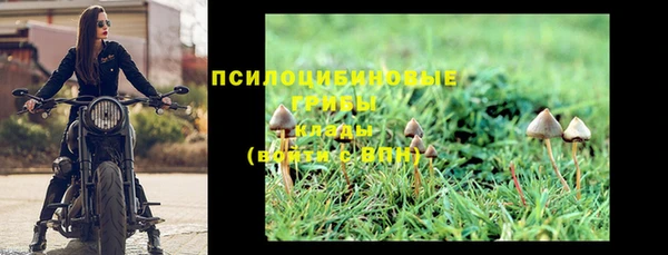 стафф Нея