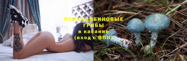 2c-b Нефтегорск