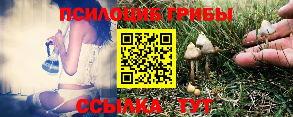 Псилоцибиновые грибы MAGIC MUSHROOMS  Вход с VPN  Екатеринбург 