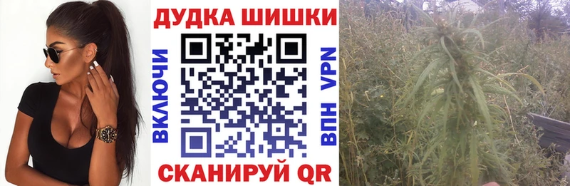 где найти   Екатеринбург  Конопля OG Kush 